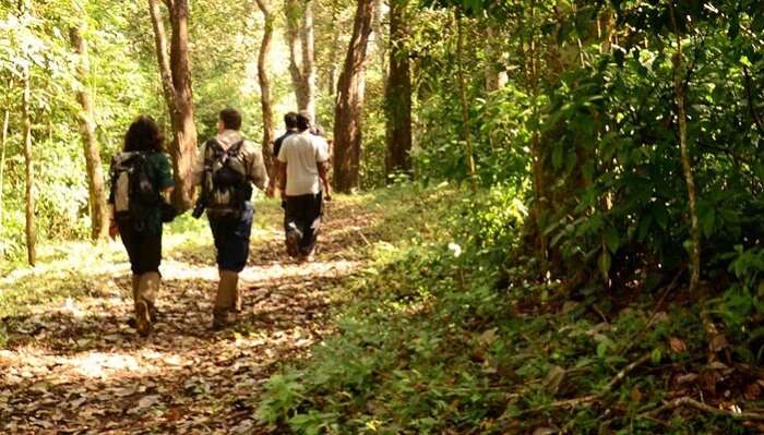 A couple joins a group for nature walking in Thekkady