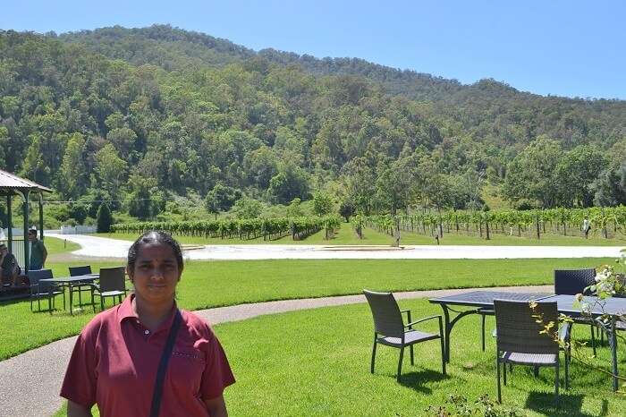 OReilly Vineyard Canungra Valley Australia