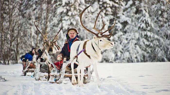 Reindeer Safari is one of the most enthralling fun activities at Igloo Resort in Finland