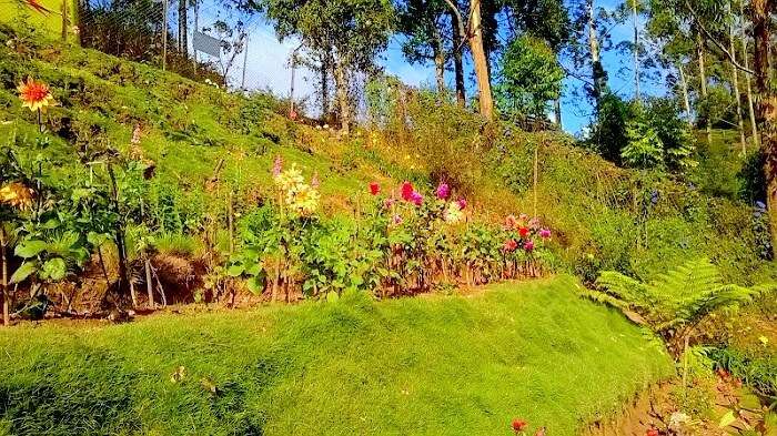 Rose Garden view in Munnar