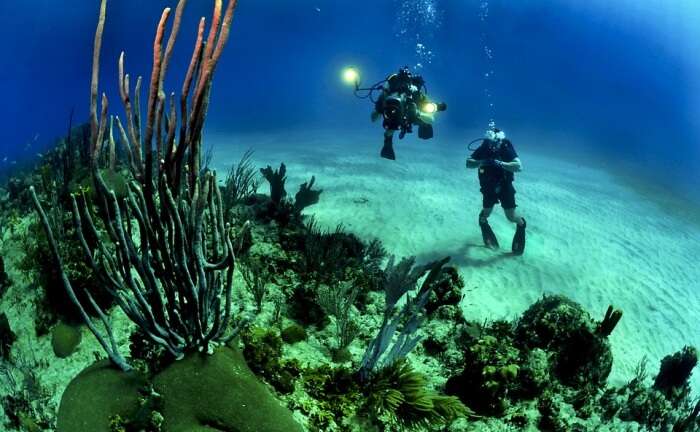 Scuba Diving, Waidroka