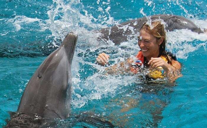 A girl enjoying her afternoon swim with the cute dolphins of Sentosa Underwater World