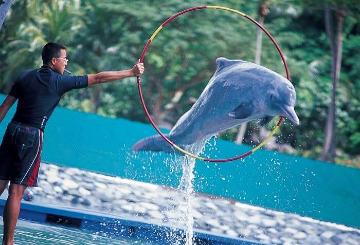 The fun of Sentosa Underwater World is priceless