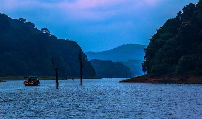 Kerala, India Thekkady: Monkeys, Elephants, Shopping & Treehouse! - YouTube