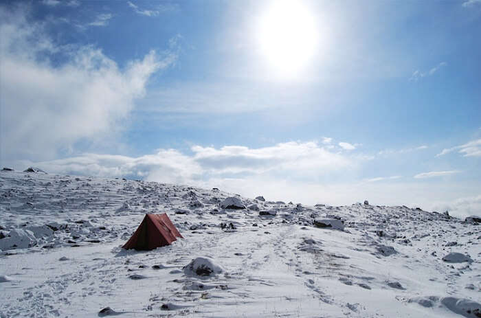 A lone tent on the snow flatland set up during the Dzongri winter trek