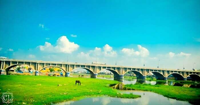 Lush green scenery on the way to Madurai