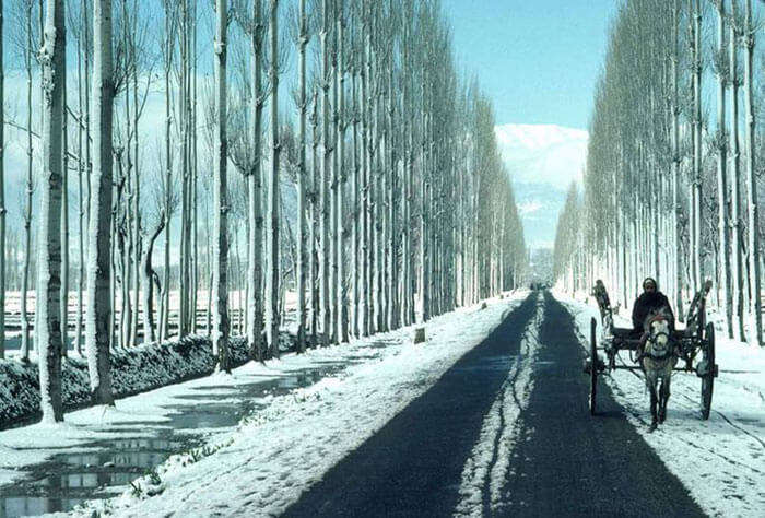 The splendid view of Gulmarg to Sonmarg