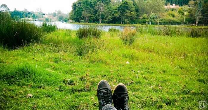 Candida enjoying the greenery in Tamil Nadu