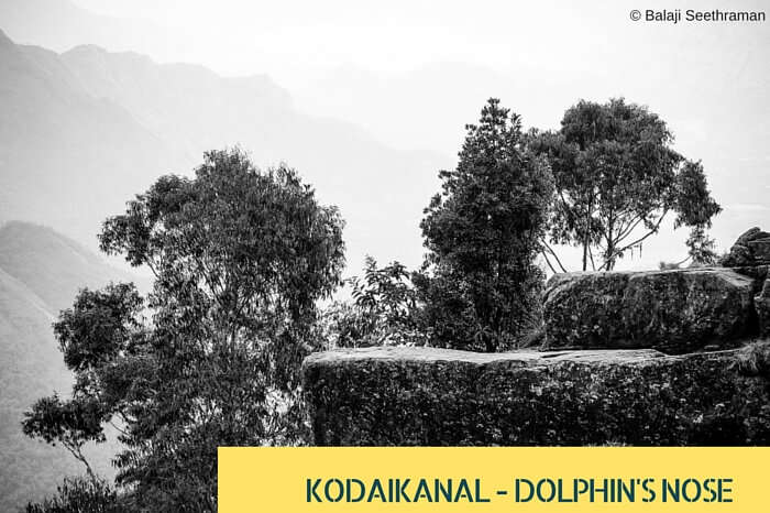 A shot view of Dolphin Nose hill at the quaint Kodaikanal