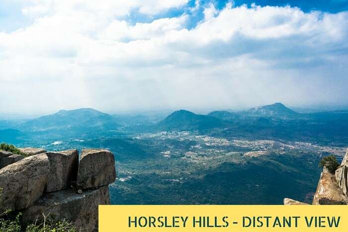 A view of the magnificent Horsley Hills from a distance