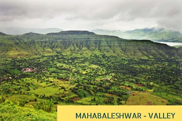 An aerial view of the green valley and tropical highlands at Mahabaleshwar during rains