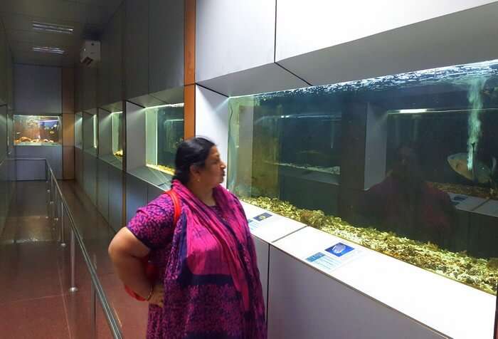 Mohan's wife at the Marine Museum