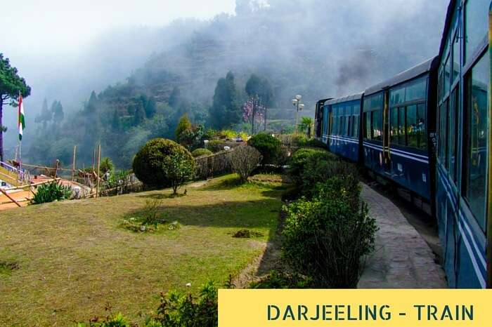 Train passing a beautiful garden and entering into fog at Darjeeling