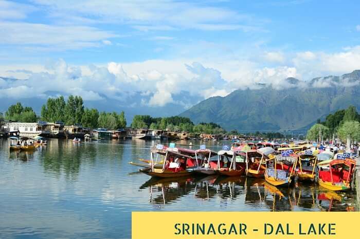 Many Shikaras waiting tourists on Dal lake at Srinagar