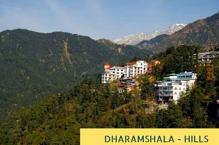 Houses at Himalaya mountains in Dharamshala