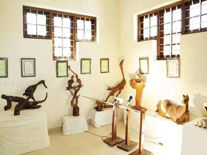 Bay Island Driftwood Museum is one of the best museums in Kottayam