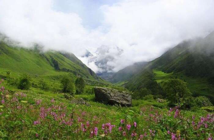 Best Time To Visit Valley Of Flowers
