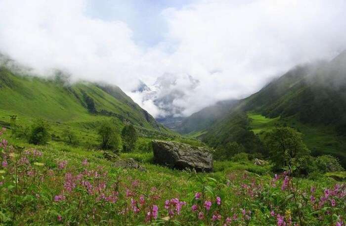 Best time to visit valley of flowers