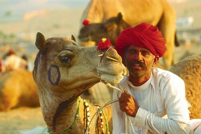 A man with his camel during the Camel Fair in Pushkar