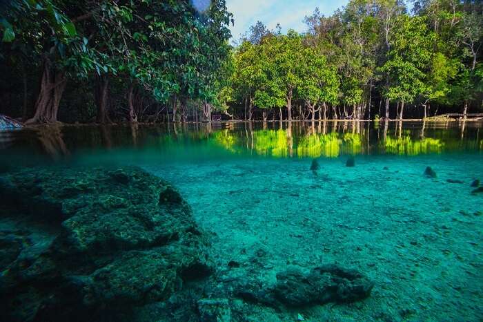 The mesmerizing Emerald Pool of Thung Teao Forest Natural Park is one of the best places to visit in Krabi