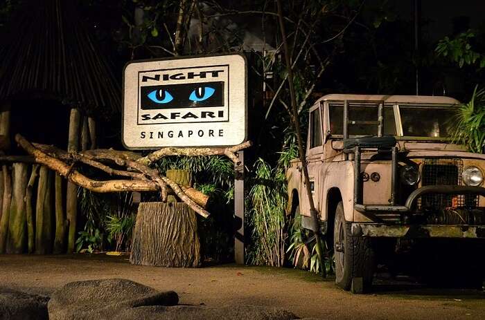 night safari free entry