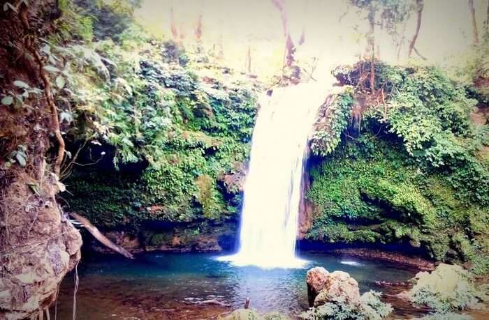 Rajveer's visit to the Corbett Waterfall