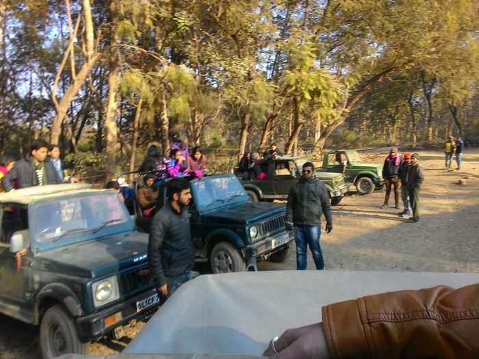 jeeps preparing to leave for the wildlife safari at the Jim Corbett National Park