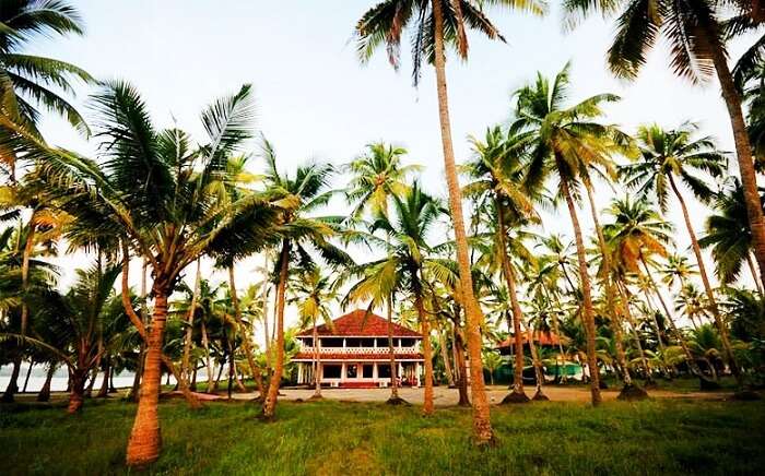 Michaels Land Resort - one of the most secluded resorts in Cochin - is set amidst tall coconut trees