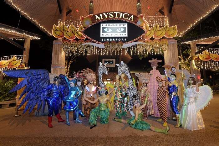 A tourist familiarizing with a python during Creatures of the Night Show