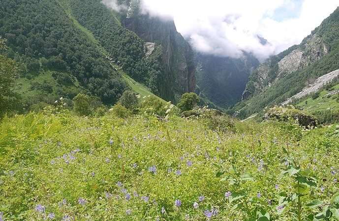 Screenshots From The Valley Of Flowers