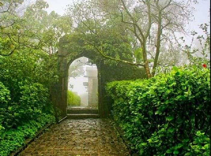 A beautiful alleyway amidst the lush greenery at Sinhagad Fort in Pune