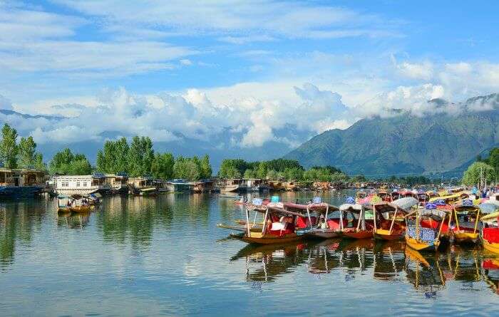 Dal Lake with Shikaras in Srinagar