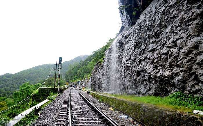 Intertwining train tracks near Dudhsagar Waterfall