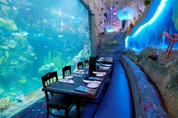 Another view of the dining with the aquarium surrounding it