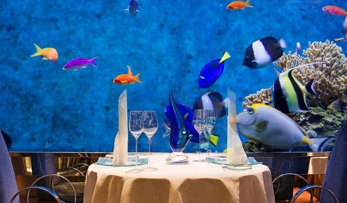 The restaurant featuring 4000 marine species that the customers can watch as they dine