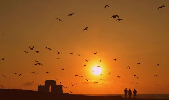Early birds fly as the sun rises at Elliot's beach