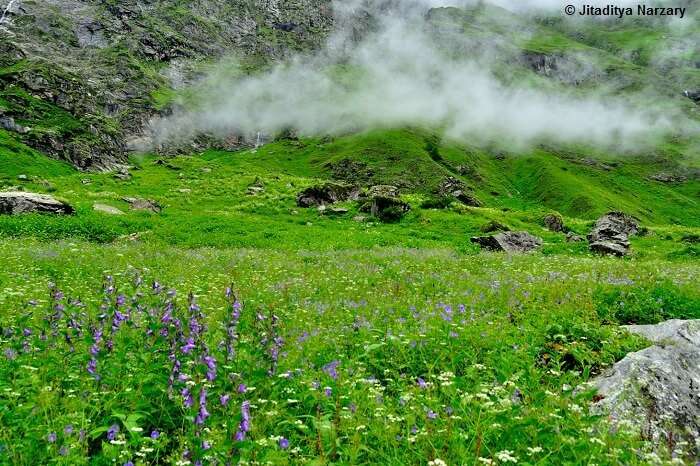 Mist floats over the Valley of Flowers