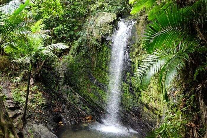 An enchanting view of the Satdhara Falls in Dalhousie