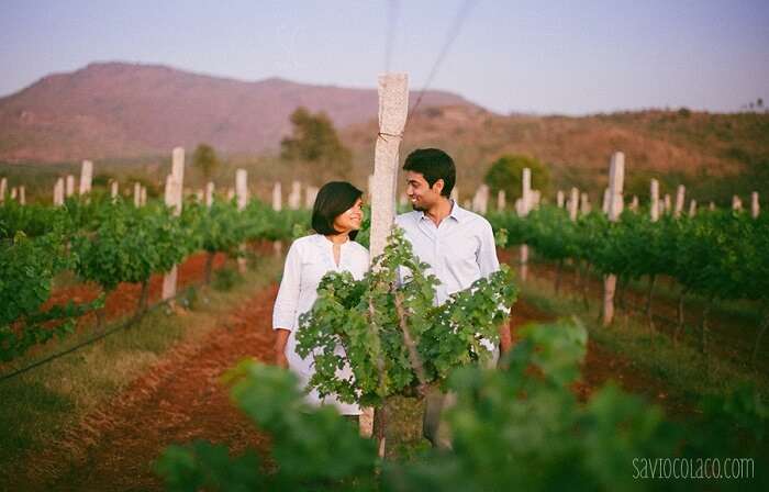 stroll with your lover at grover vineyard, one of the most romantic places in bangalore
