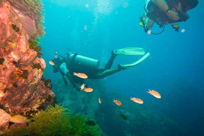 Scuba diving on coral reef at Koh Tao