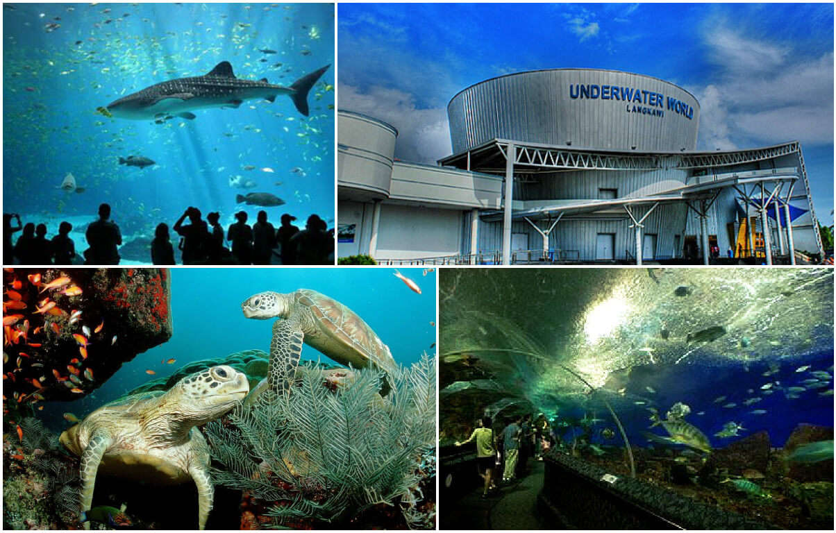 Scenes from inside and outside the Underwater World in Langkawi