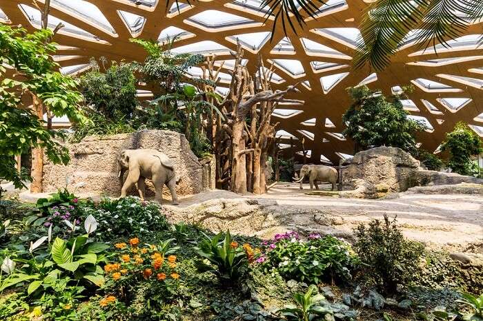 The Kaeng Krachan Elephant Park at the Zurich Zoo