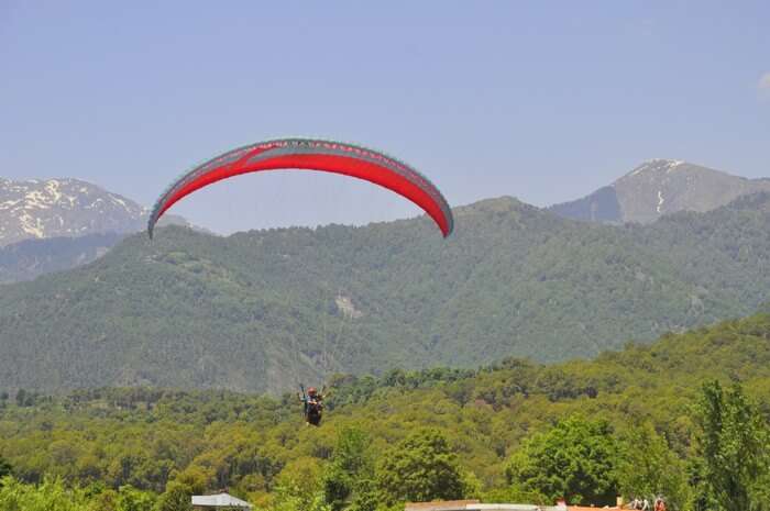 That feeling of being a Flying Bird from Asia's highest Point for Paragliding- Bir Billing