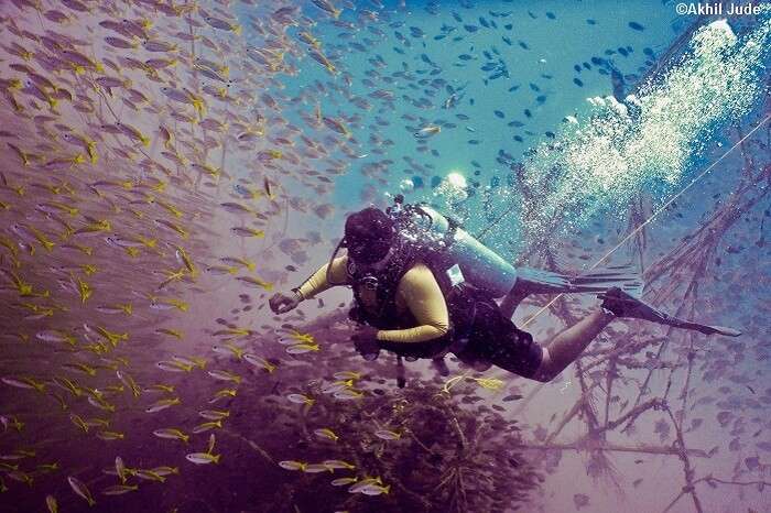 A person undertakes scuba diving through the natural coral reefs at Pondicherry