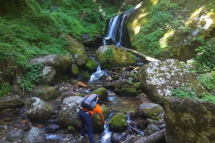 A traveler takes a trek to a waterfall near the Tirthan Valley