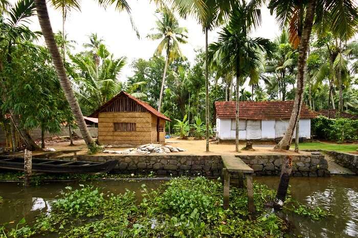 Huts along the backwaters of Kumarakom in Kerala