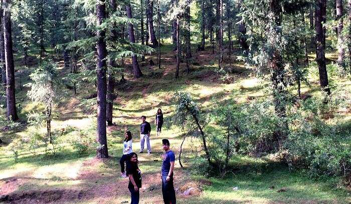 Travelers on a trek in Mashobra