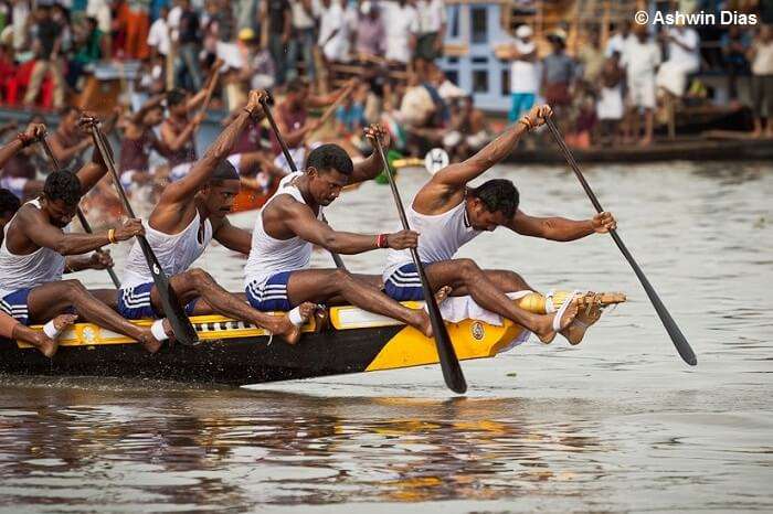 Snake boats with crews of upto 100 people race for the annual Nehru Trophy in Kerala 