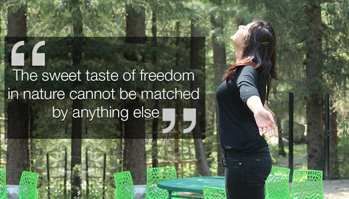 A traveler taking in the beauty of Mashobra