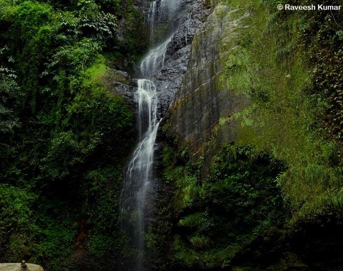 The gorgeous Chadwick waterfall is located in close proximity to Shimla